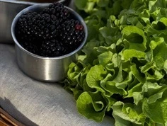 AYA&IDA snackbeholder mørk grå/mat sort 100ml (2-pak)